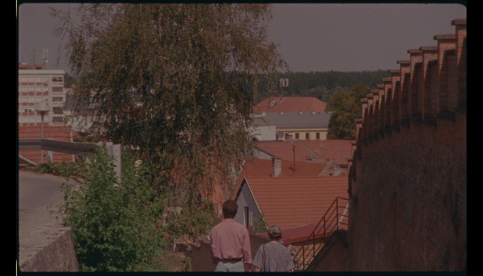 European Short Pitch: projekt <em>Rahlo </em>Joze Schmucha u WIP-upovezana slika