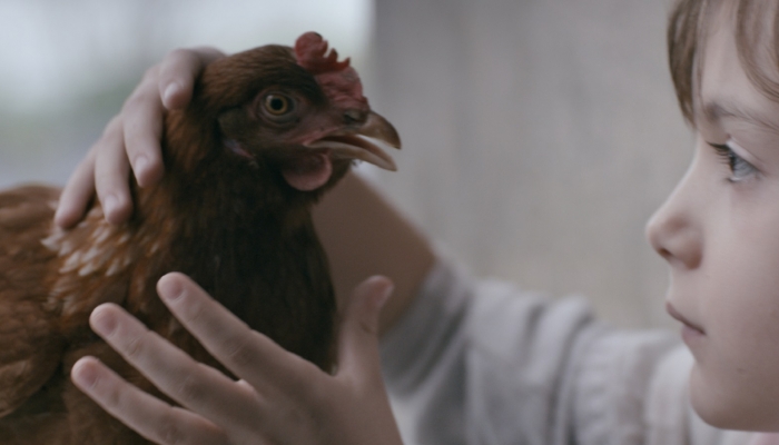 <em>The Chicken</em> at Sundance Film Festivalrelated image
