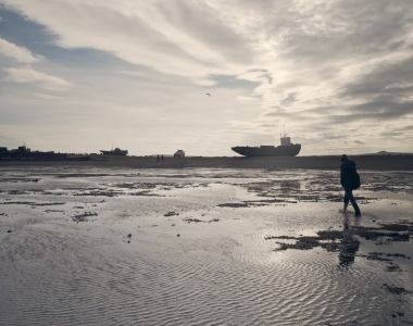 <em>Dolazi mali sivi vuk </em>na festivalima CPH:DOX,&nbsp;Artdocfest,&nbsp;Dok #8