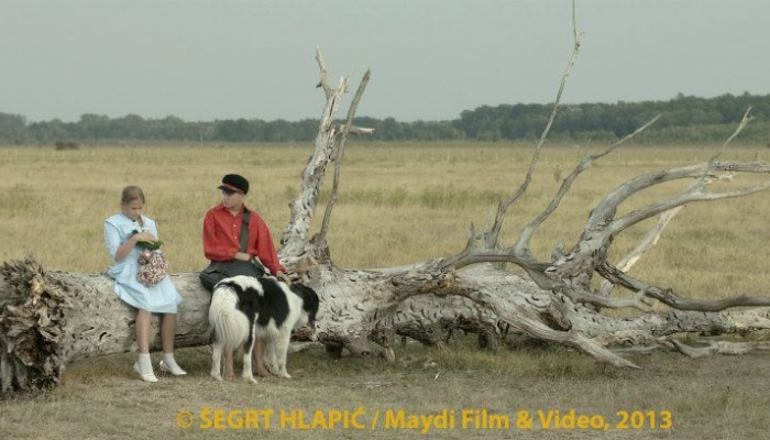 <em>The Brave Adventures of a Little Shoemaker</em> scores the second best Croatian opening since 1990related image
