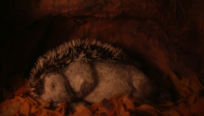 <em>Hedgehog’s Home</em> nominated for an ‘Annie’ related image