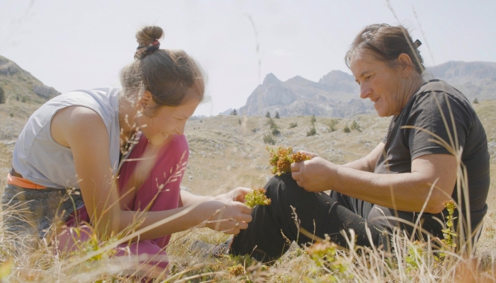 Dokumentarni film<em> Planina</em> Biljane Tutorov i Petra Glomazića premijerno u natjecateljskom programu Filmskog festivala Sundancepovezana slika