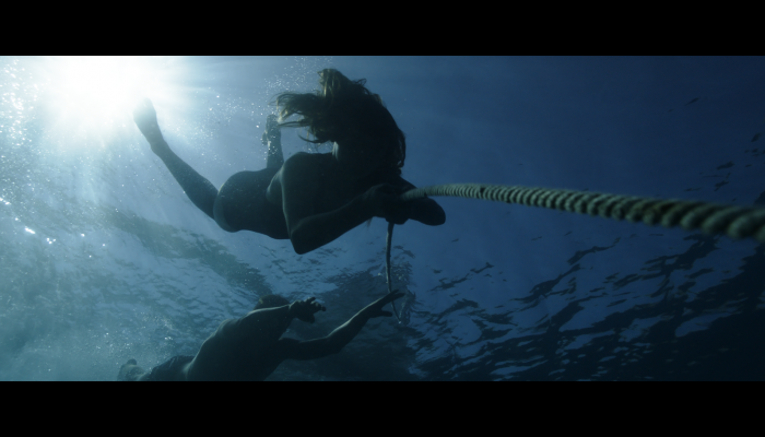 <em>Into the Blue</em> selected as Vimeo Staff Pickrelated image