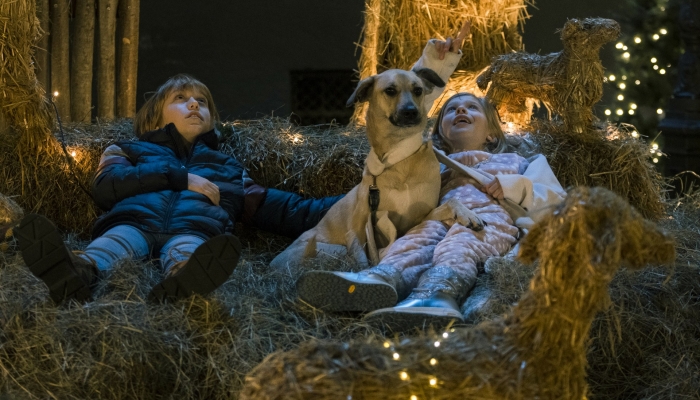 Održana zagrebačka premijera: božićni film za djecu <em>Kapa</em> od 10. studenog u kinima diljem zemljepovezana slika