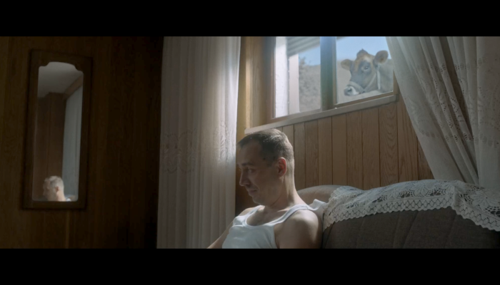 Svjetska premijera filma<em> Krava</em> Pave Marinkovića na 61. Međunarodnom filmskom festivalu u Chicagupovezana slika